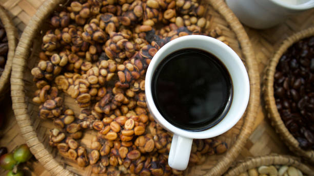  Menjelajahi Perkebunan Kopi dan Mencicipi Kopi Khas Bali