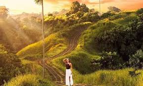 Campuhan Ridge Walk: Destinasi Trekking Hits di Ubud, Bali